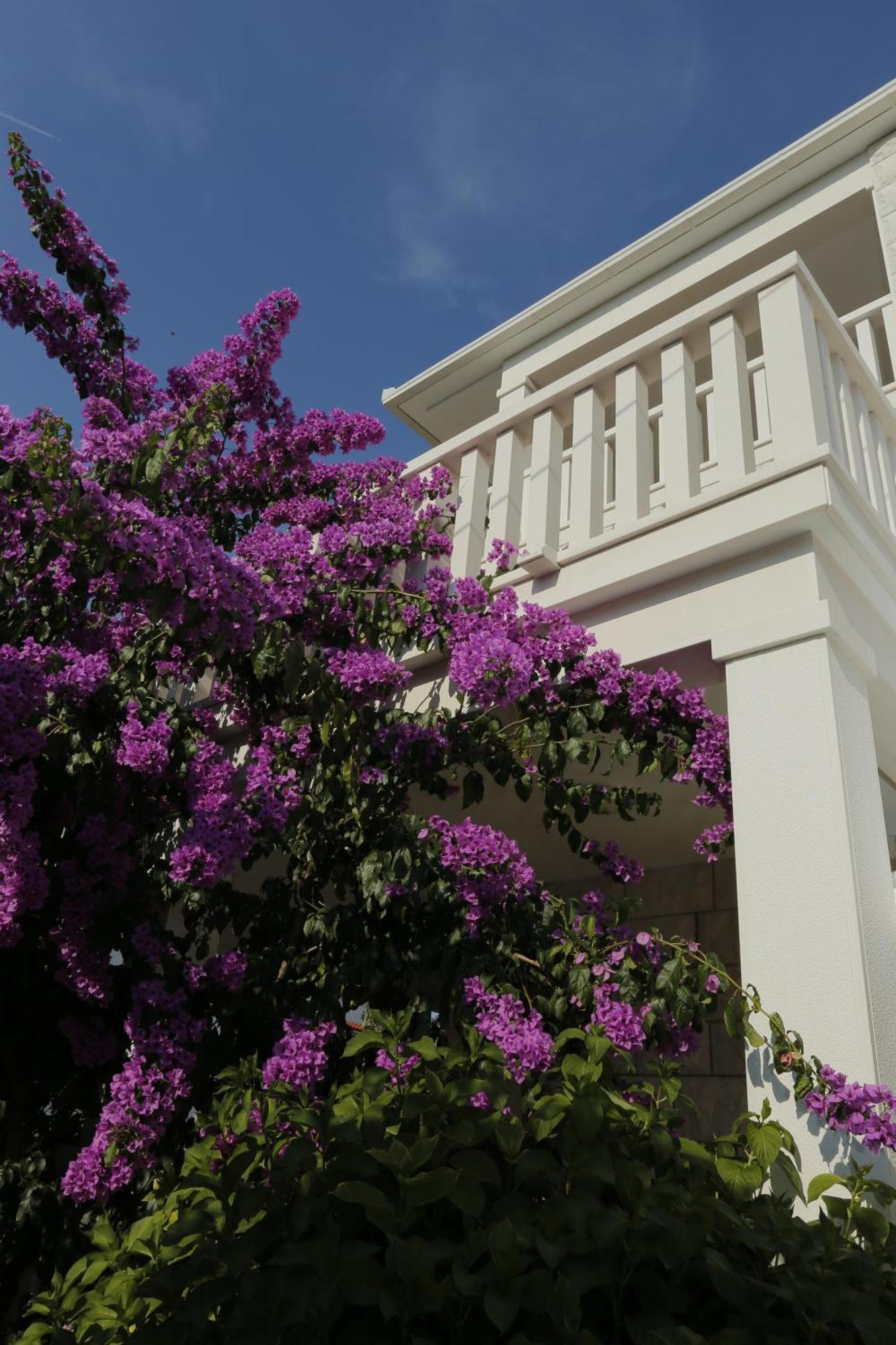 סופטאר Apartments Marino מראה חיצוני תמונה